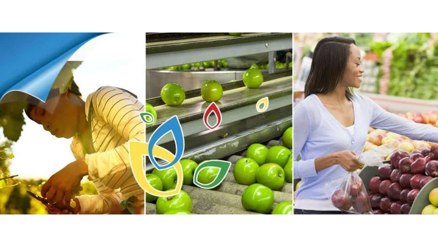 Dynamic CloudSmiths technology cultivates agricultural sustainability